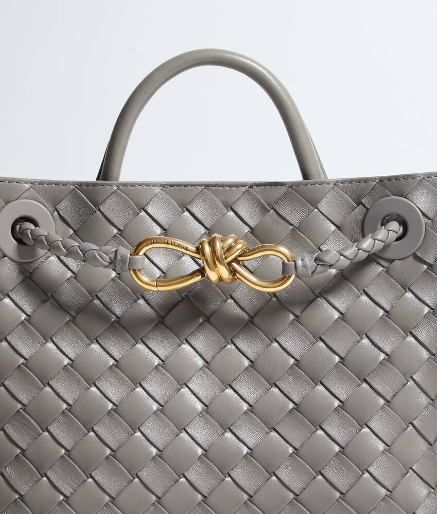 BOTTEGA VENETA 小号Andiamo手提包
