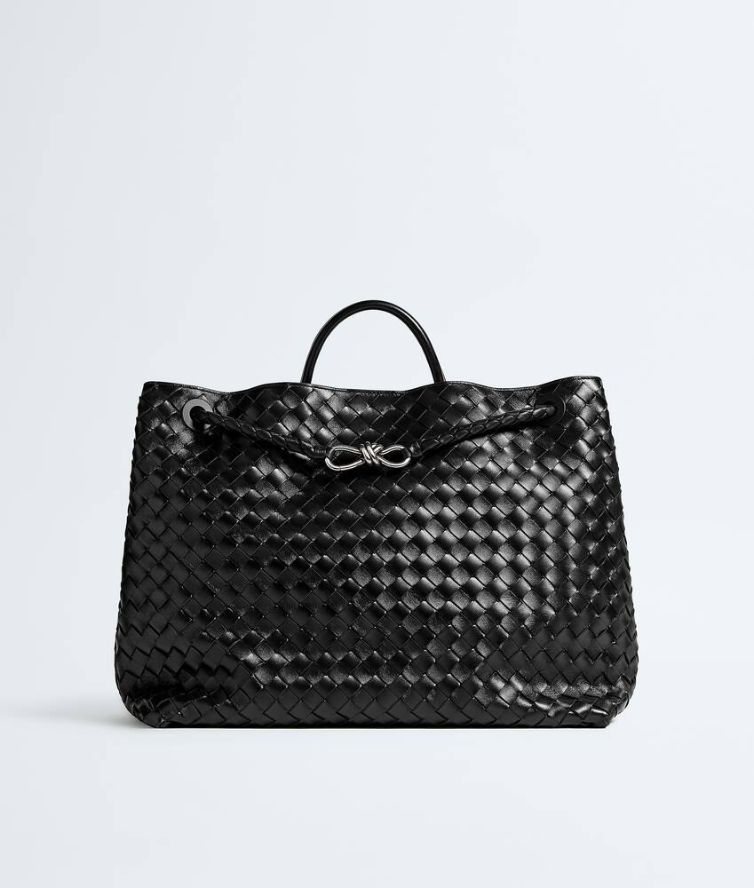 BOTTEGA VENETA Andiamo大号手提包