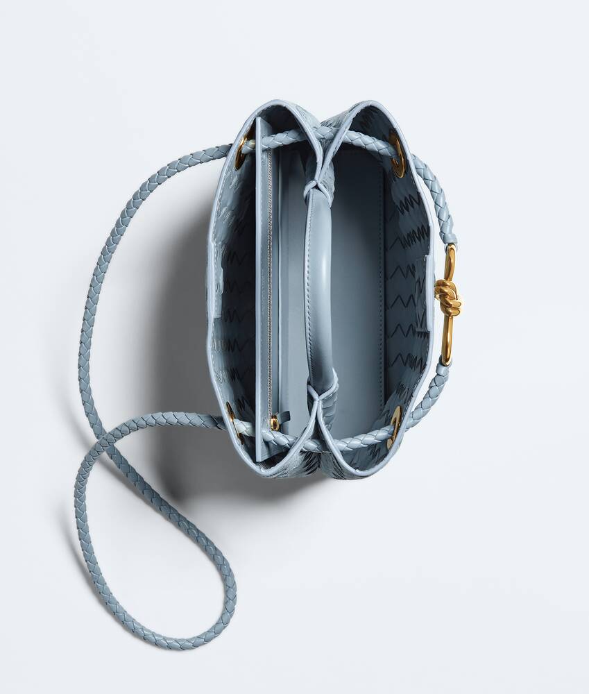 BOTTEGA VENETA 小号Andiamo手提包