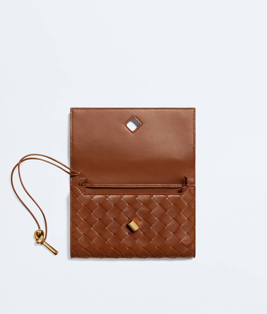 BOTTEGA VENETA Andiamo背带手拿包