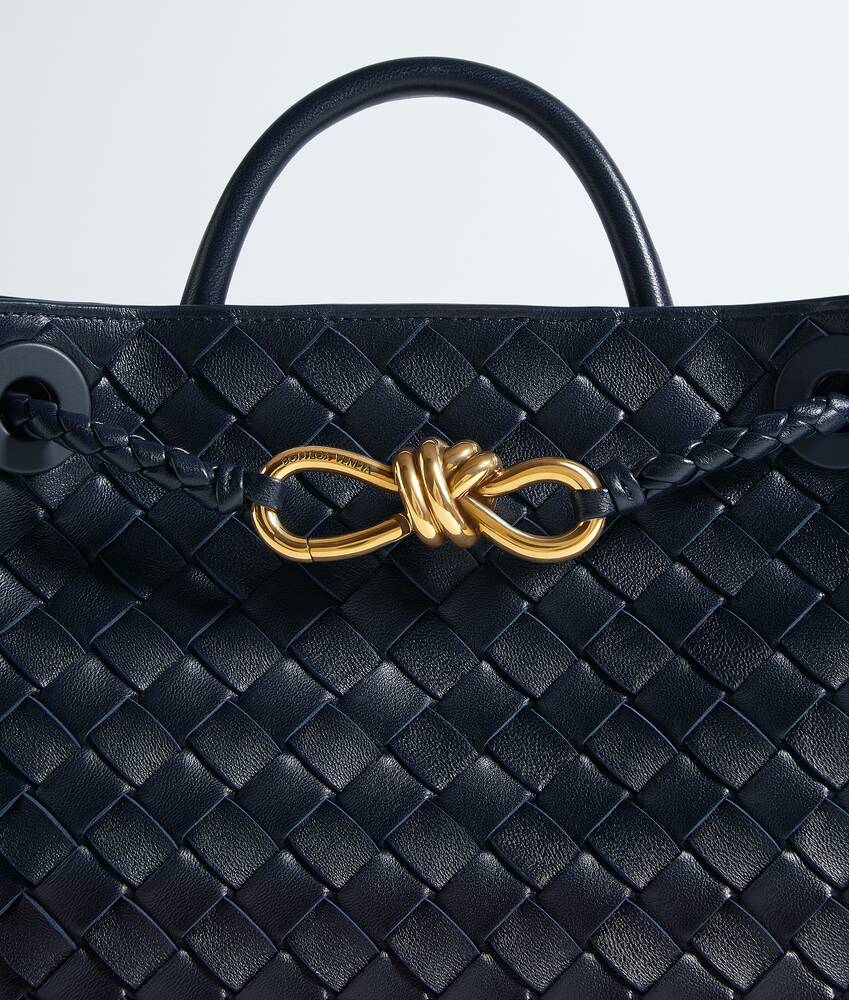 BOTTEGA VENETA 小号Andiamo手提包