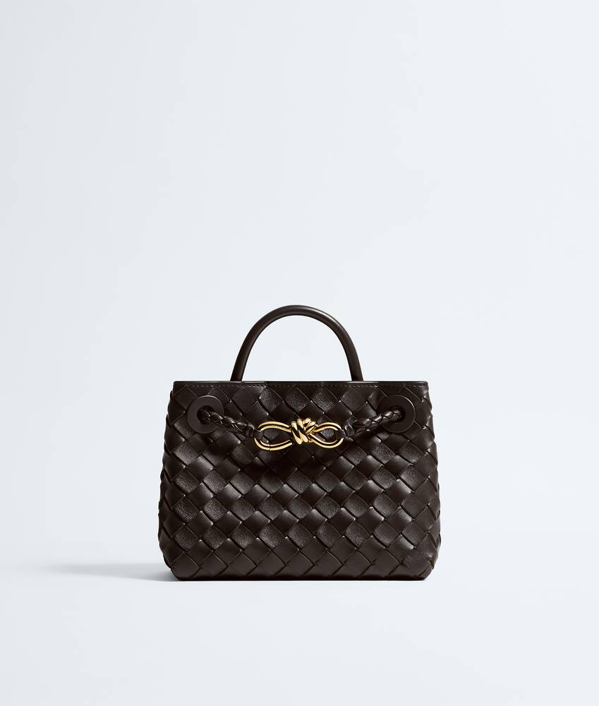 BOTTEGA VENETA 迷你Andiamo手提包