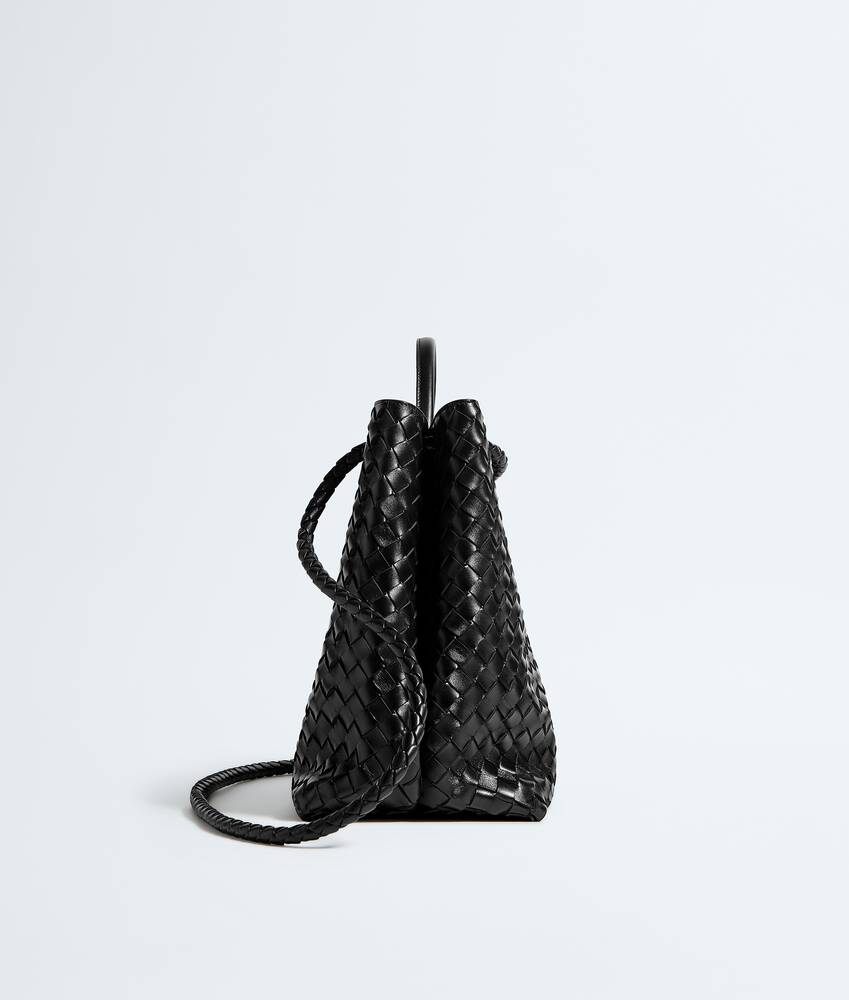 BOTTEGA VENETA Andiamo大号手提包