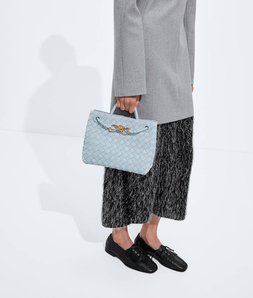 BOTTEGA VENETA 小号Andiamo手提包
