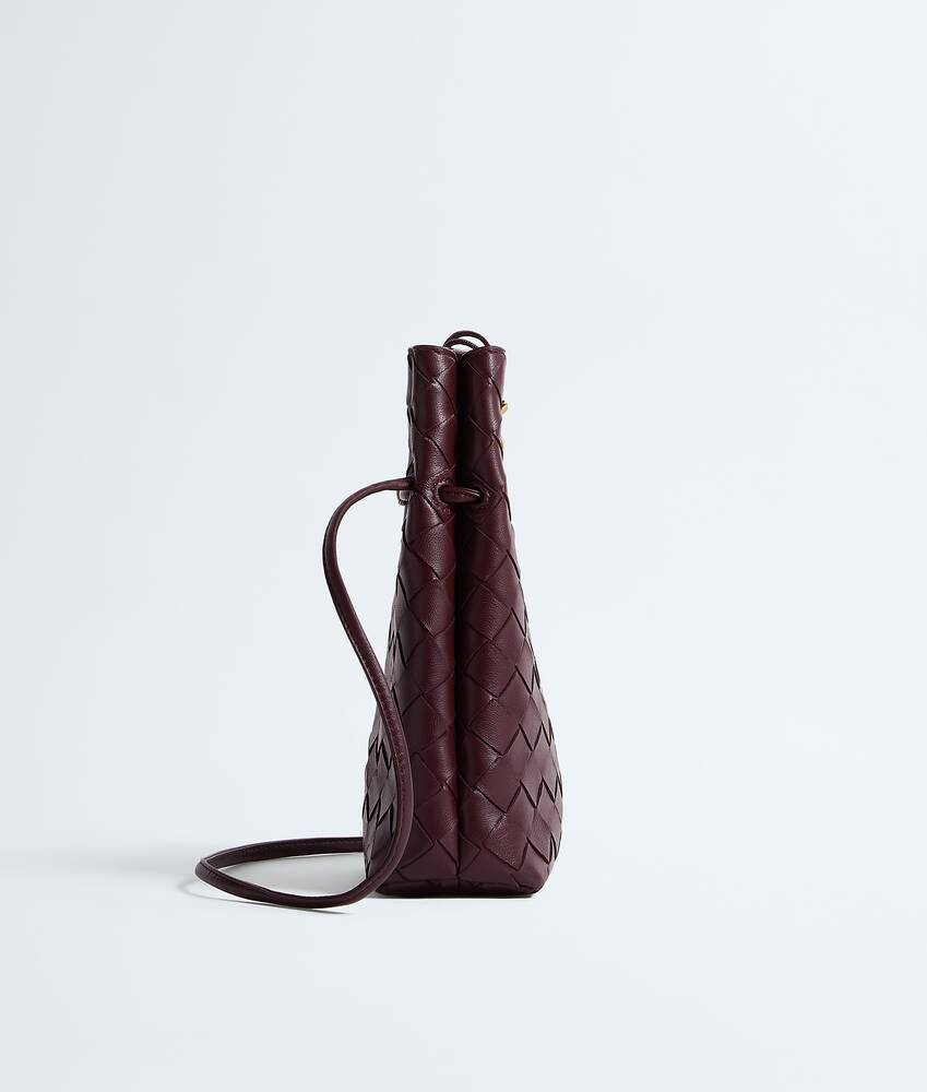 BOTTEGA VENETA Andiamo手机包