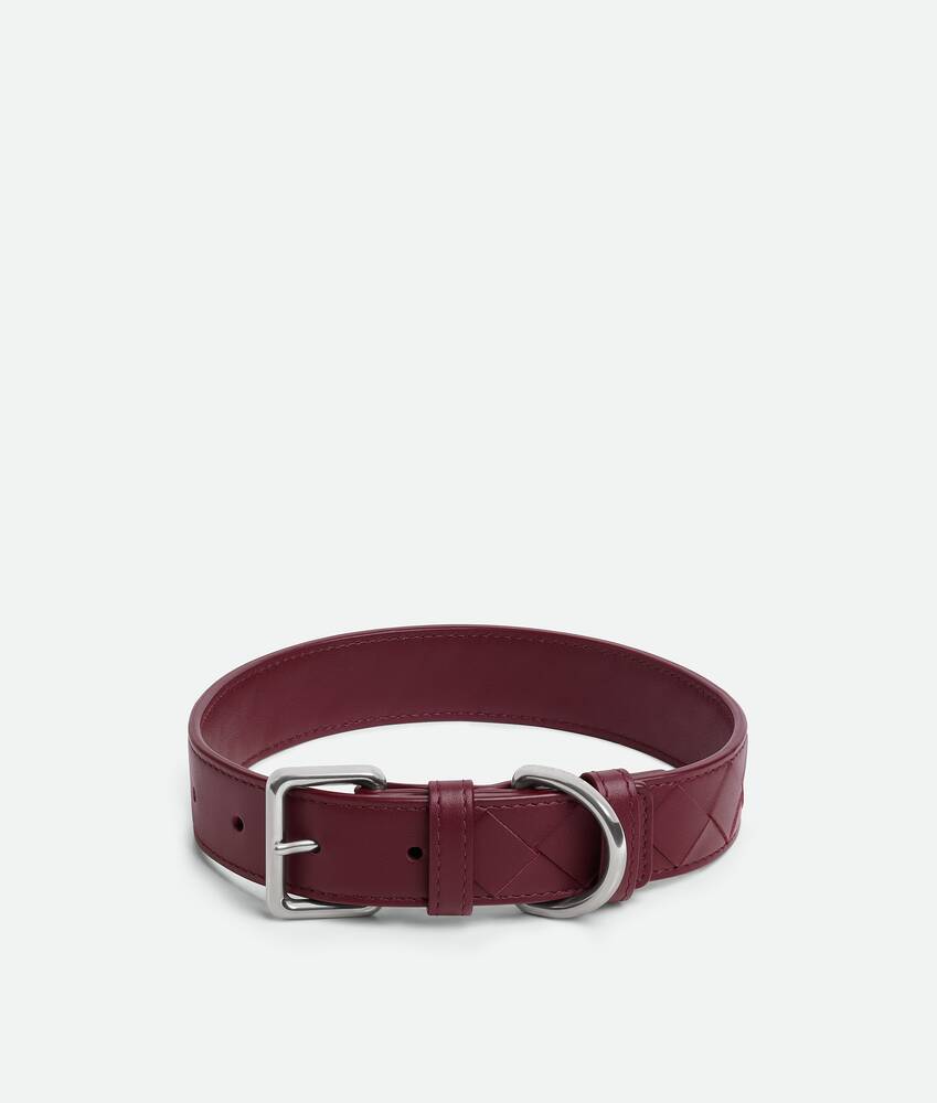 BOTTEGA VENETA 中号Intrecciato编织宠物狗项圈
