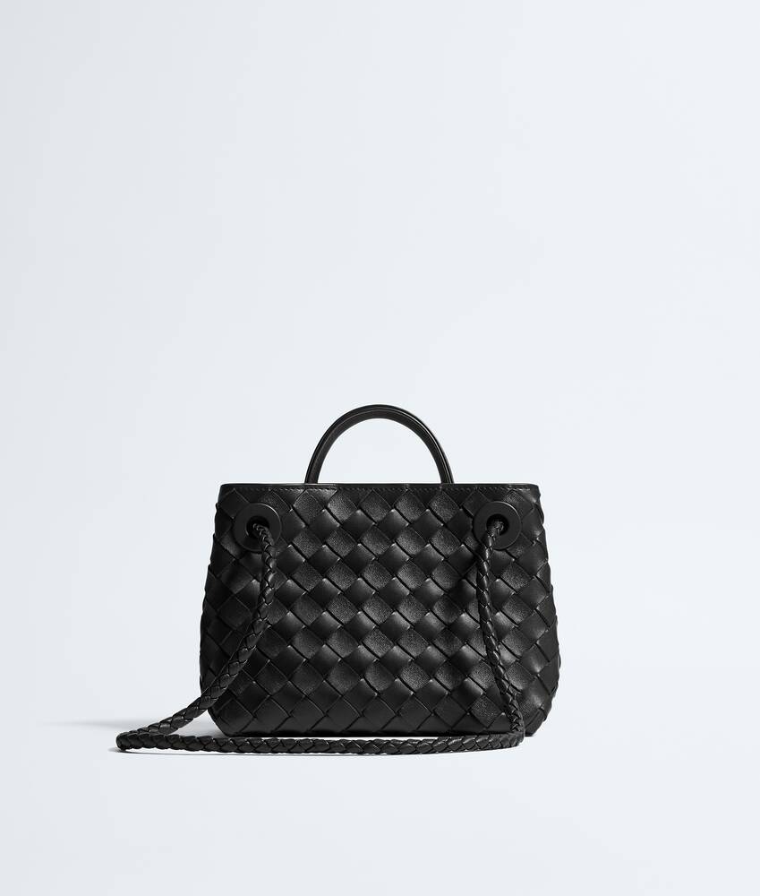 BOTTEGA VENETA 迷你Andiamo手提包