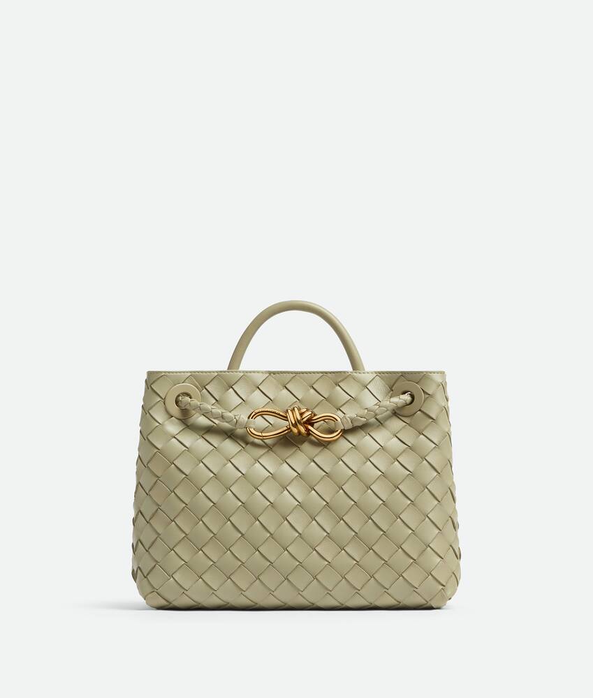 BOTTEGA VENETA 小号Andiamo手提包