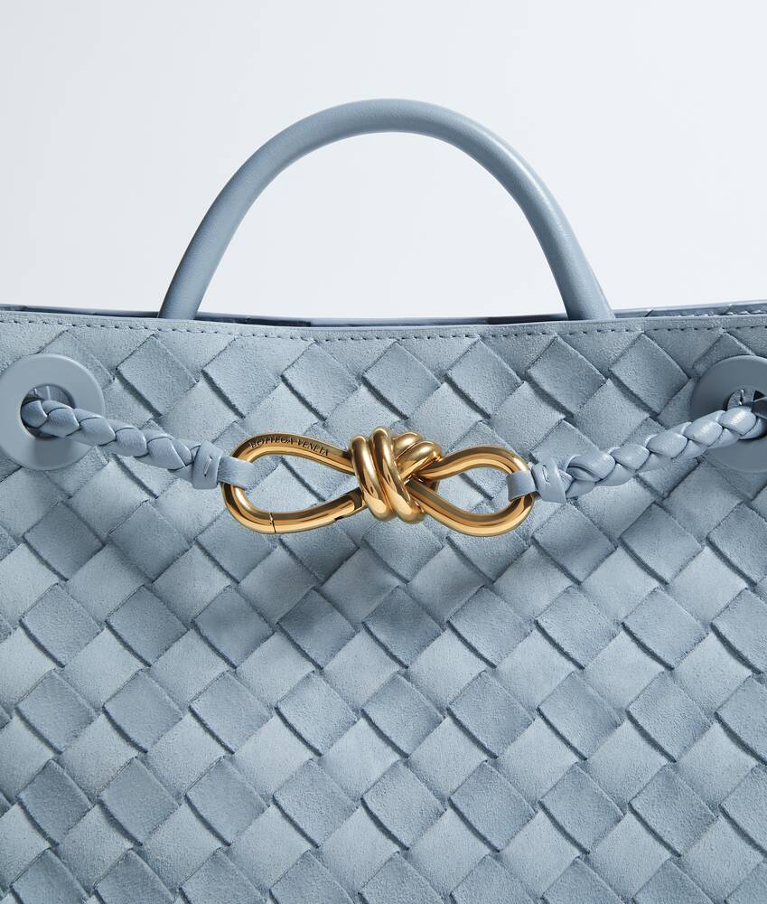 BOTTEGA VENETA 小号Andiamo手提包