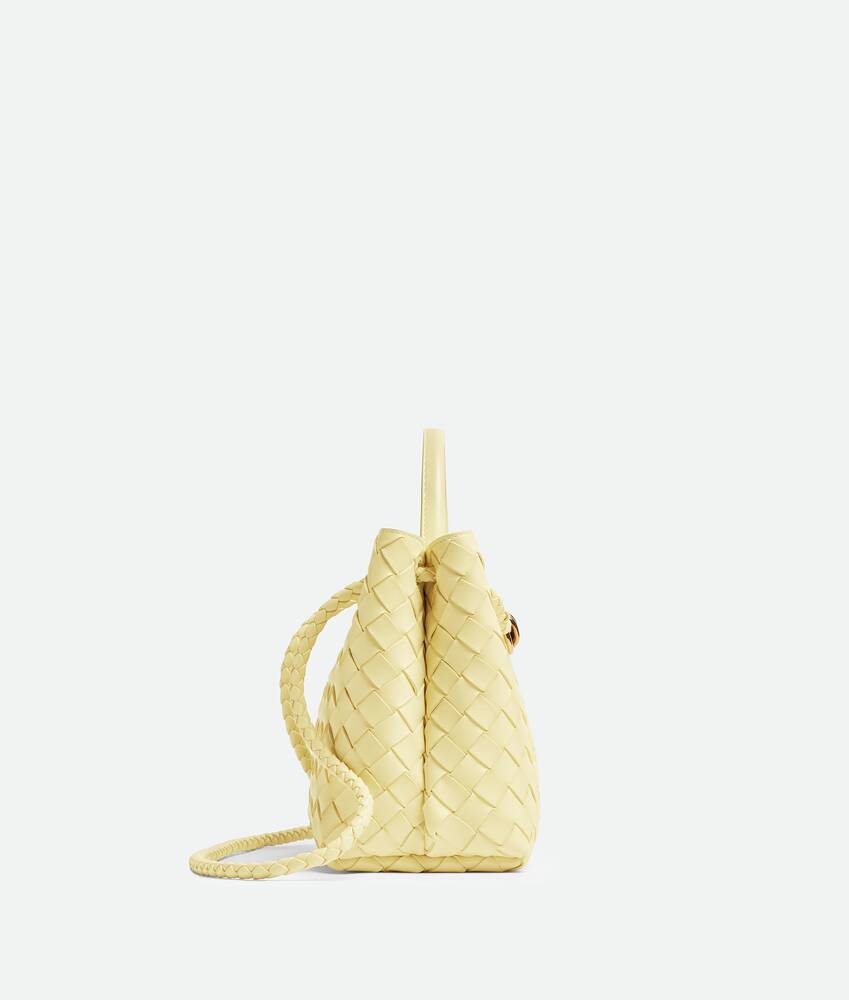 BOTTEGA VENETA Andiamo小号手提包