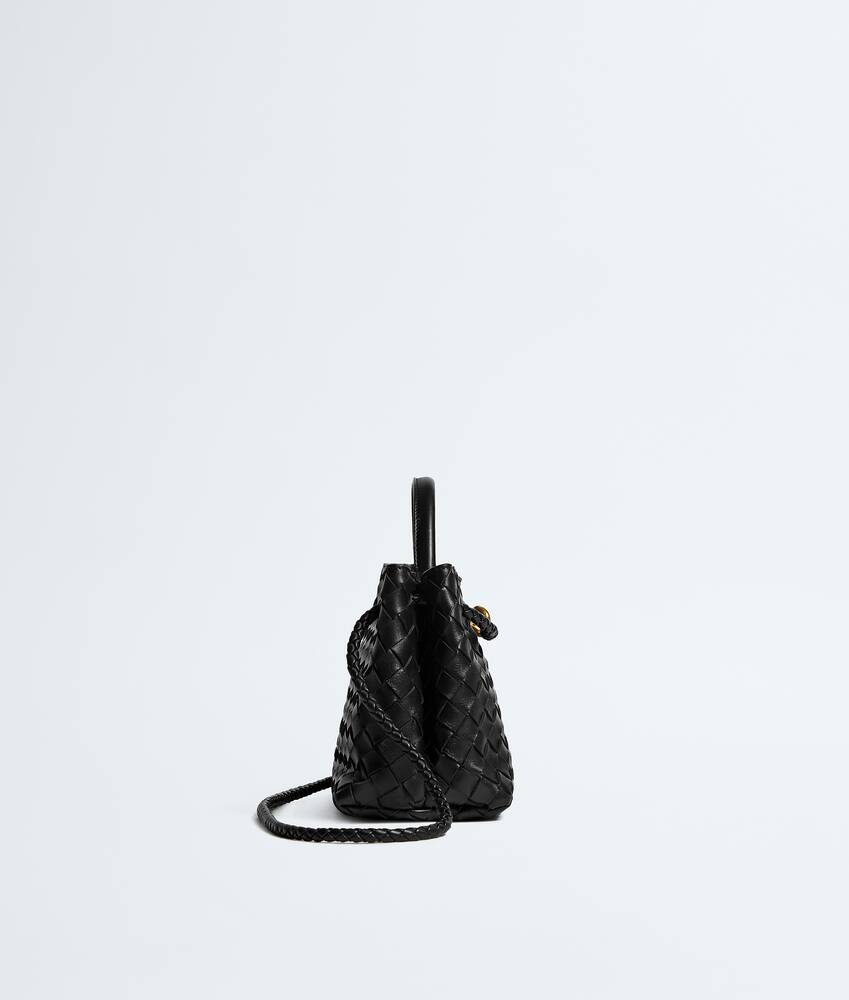 BOTTEGA VENETA 小号横款Andiamo手提包