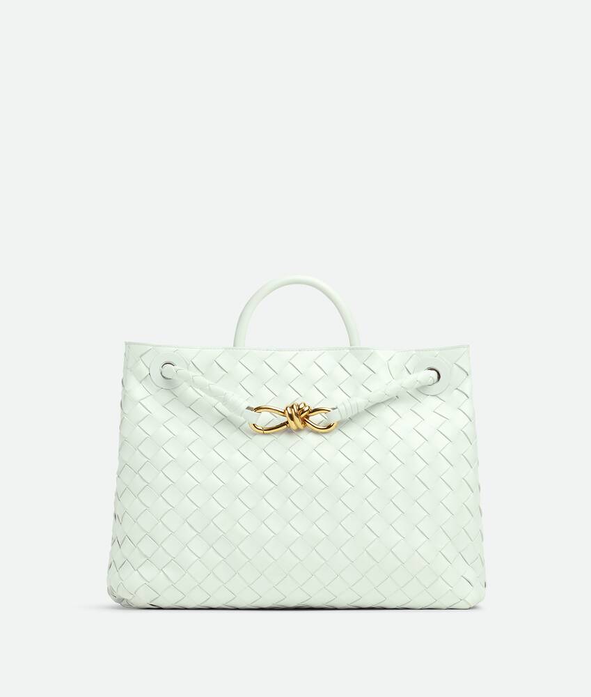 BOTTEGA VENETA Andiamo中号手提包