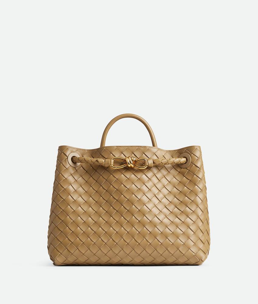 BOTTEGA VENETA Andiamo手提包