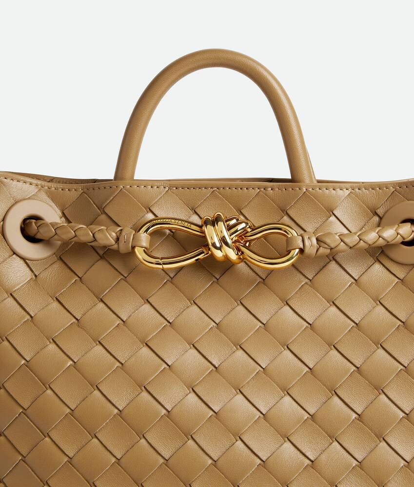 BOTTEGA VENETA 小号Andiamo手提包
