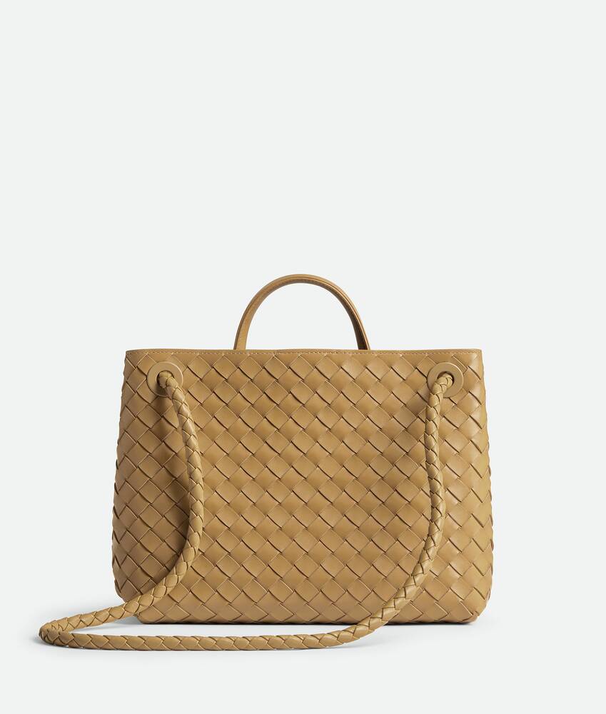 BOTTEGA VENETA Andiamo手提包