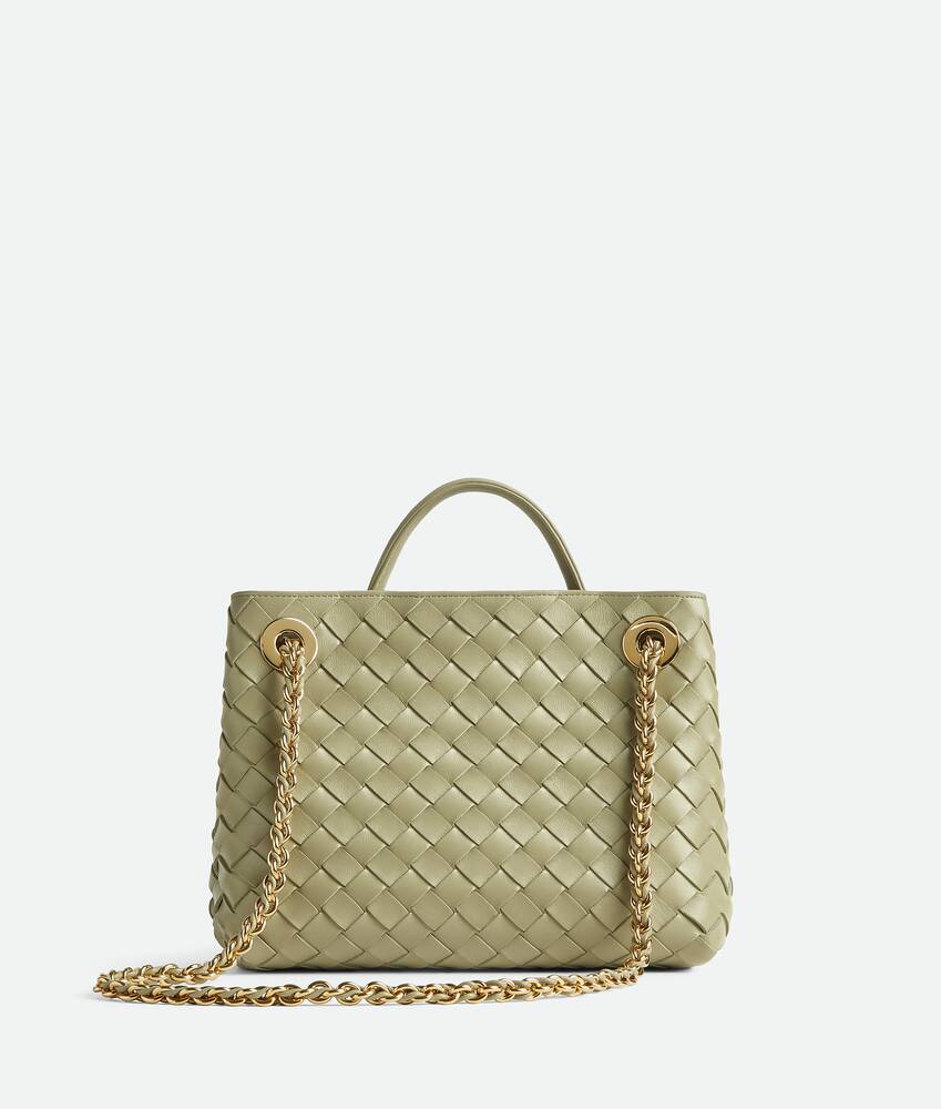 BOTTEGA VENETA Andiamo小号链条包