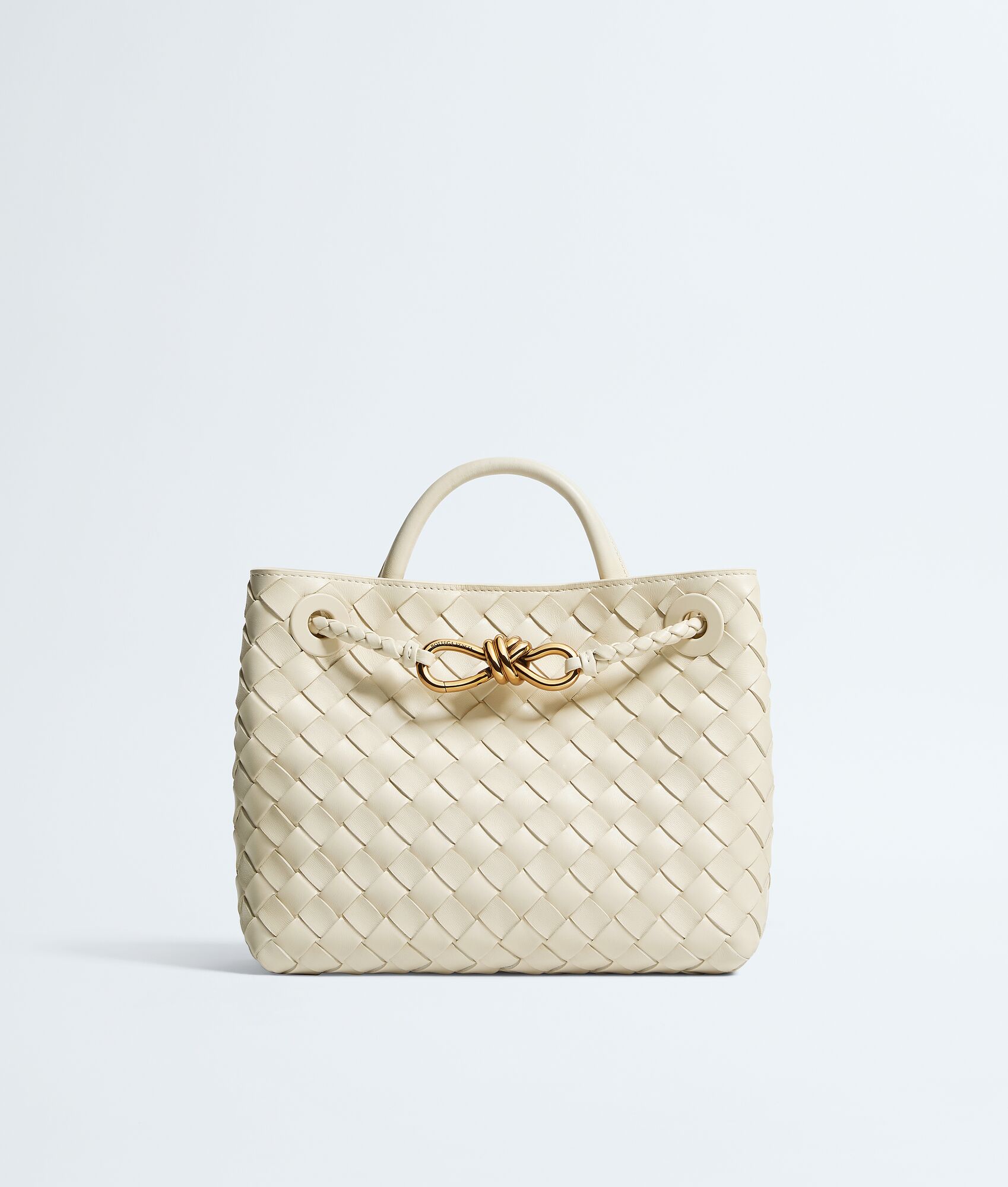 BOTTEGA VENETA 小号Andiamo手提包