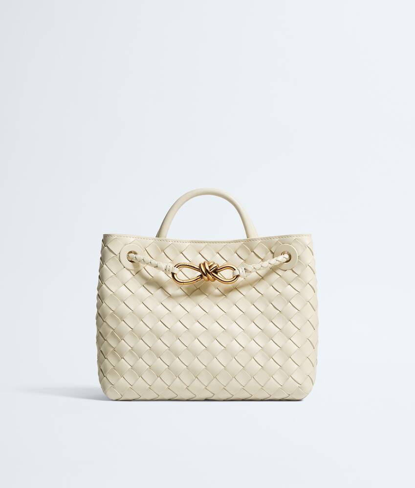 BOTTEGA VENETA 小号Andiamo手提包