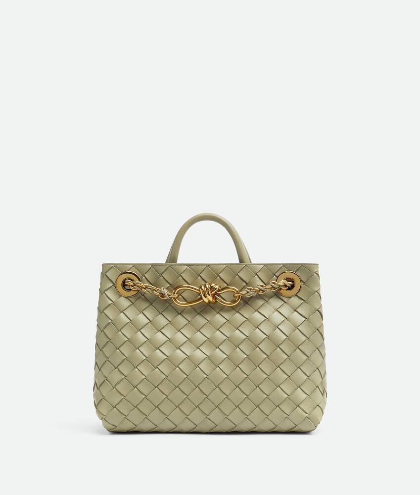 BOTTEGA VENETA Andiamo小号链条包