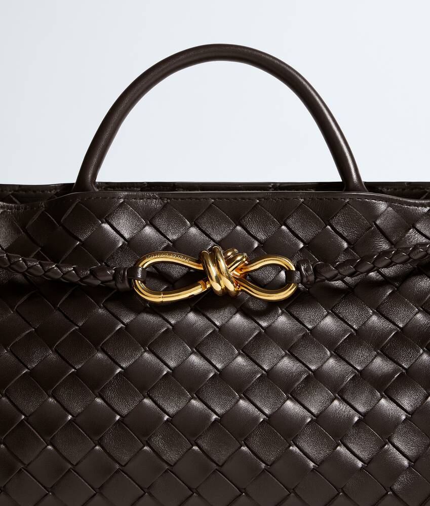 BOTTEGA VENETA 小号横款Andiamo手提包