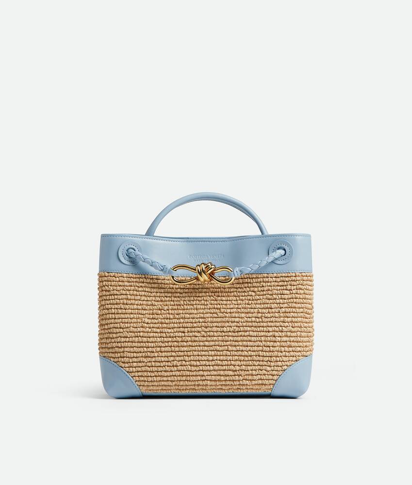 BOTTEGA VENETA 小号Andiamo手提包