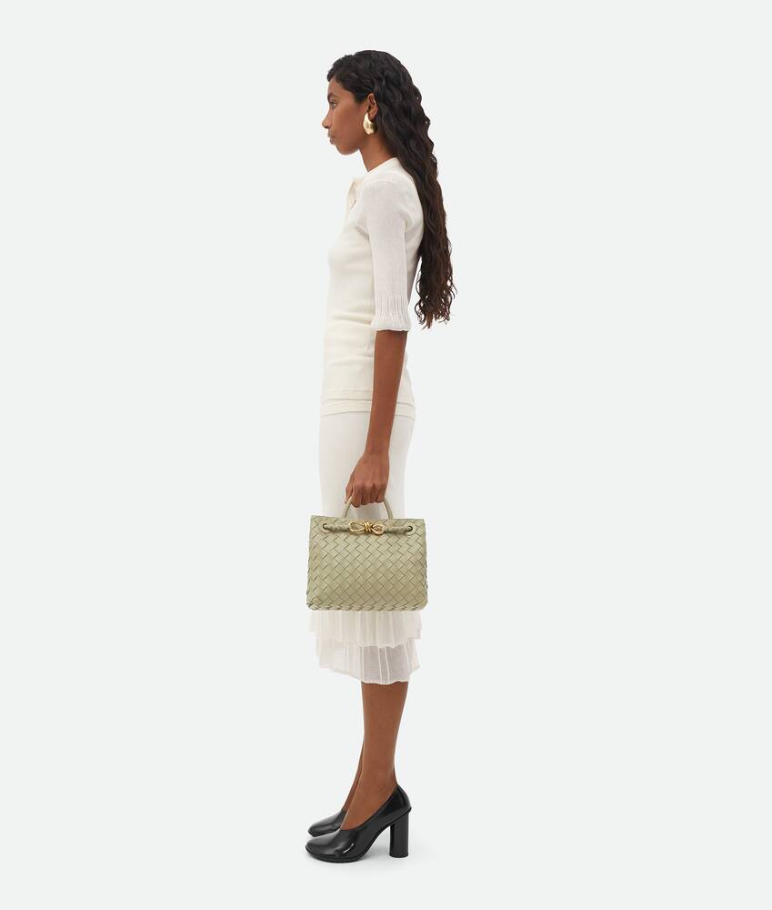 BOTTEGA VENETA 小号Andiamo手提包