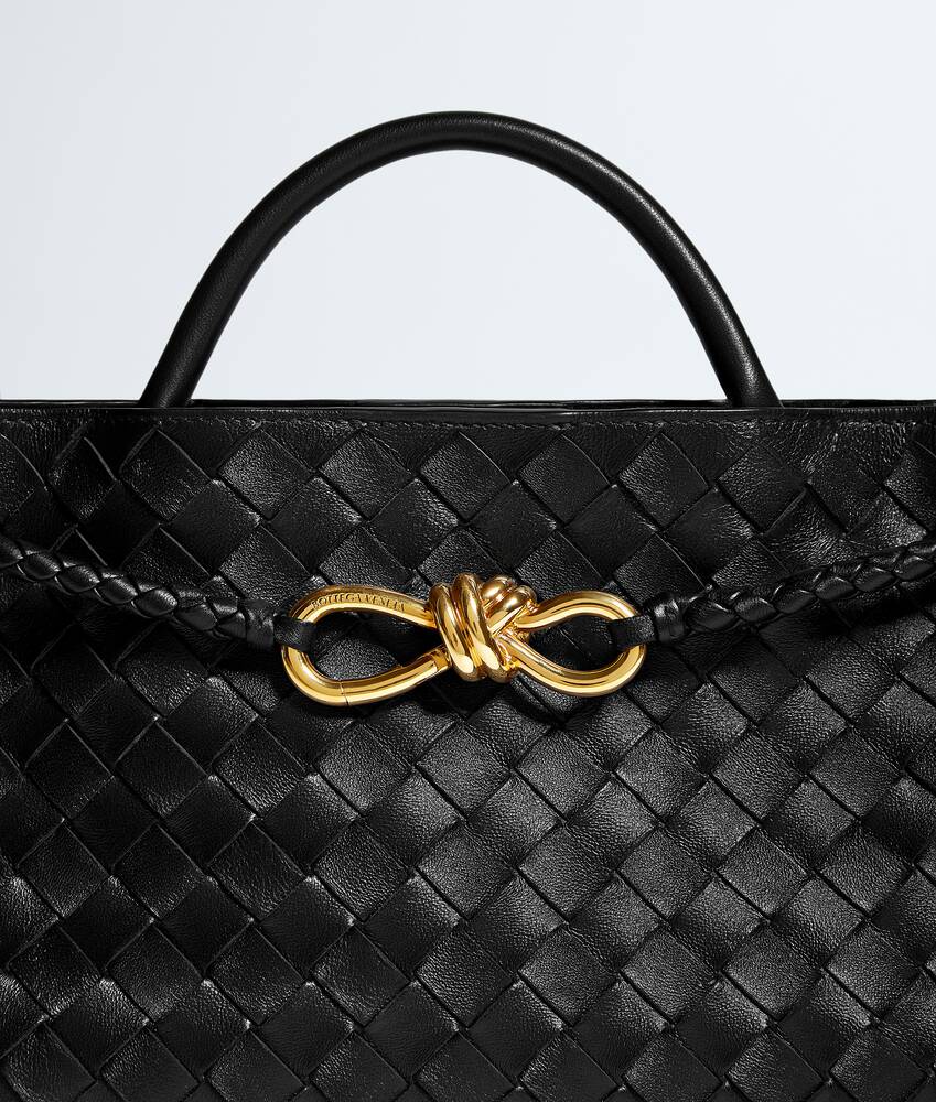 BOTTEGA VENETA 小号横款Andiamo手提包