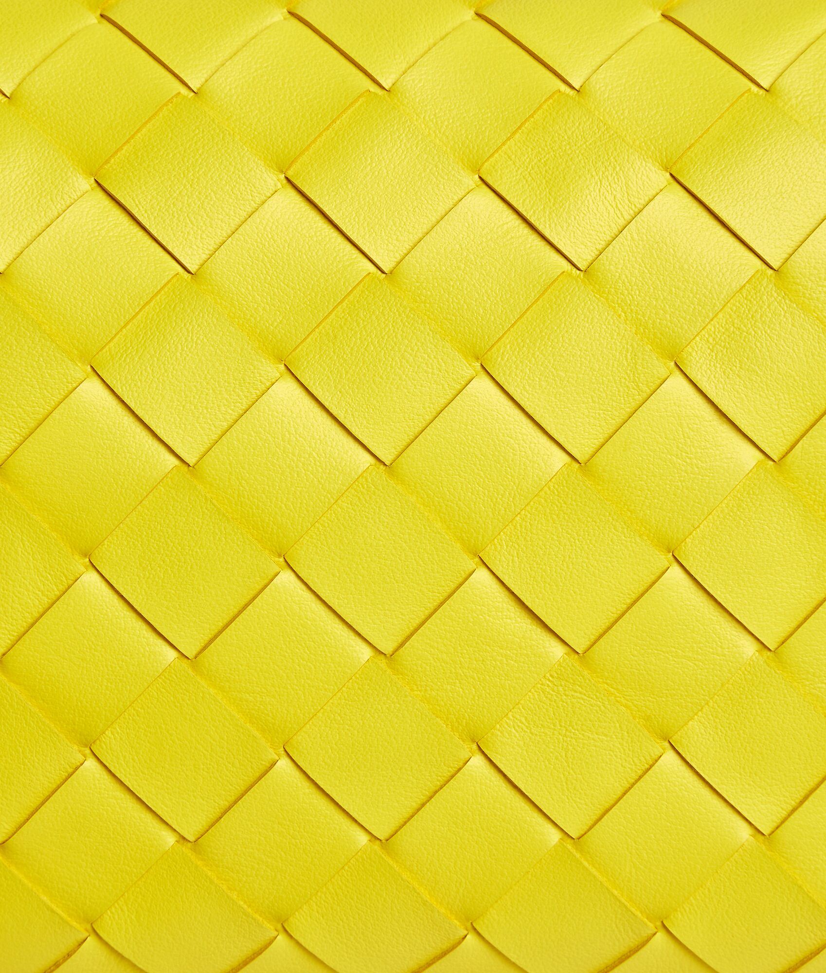 BOTTEGA VENETA Loop手提包
