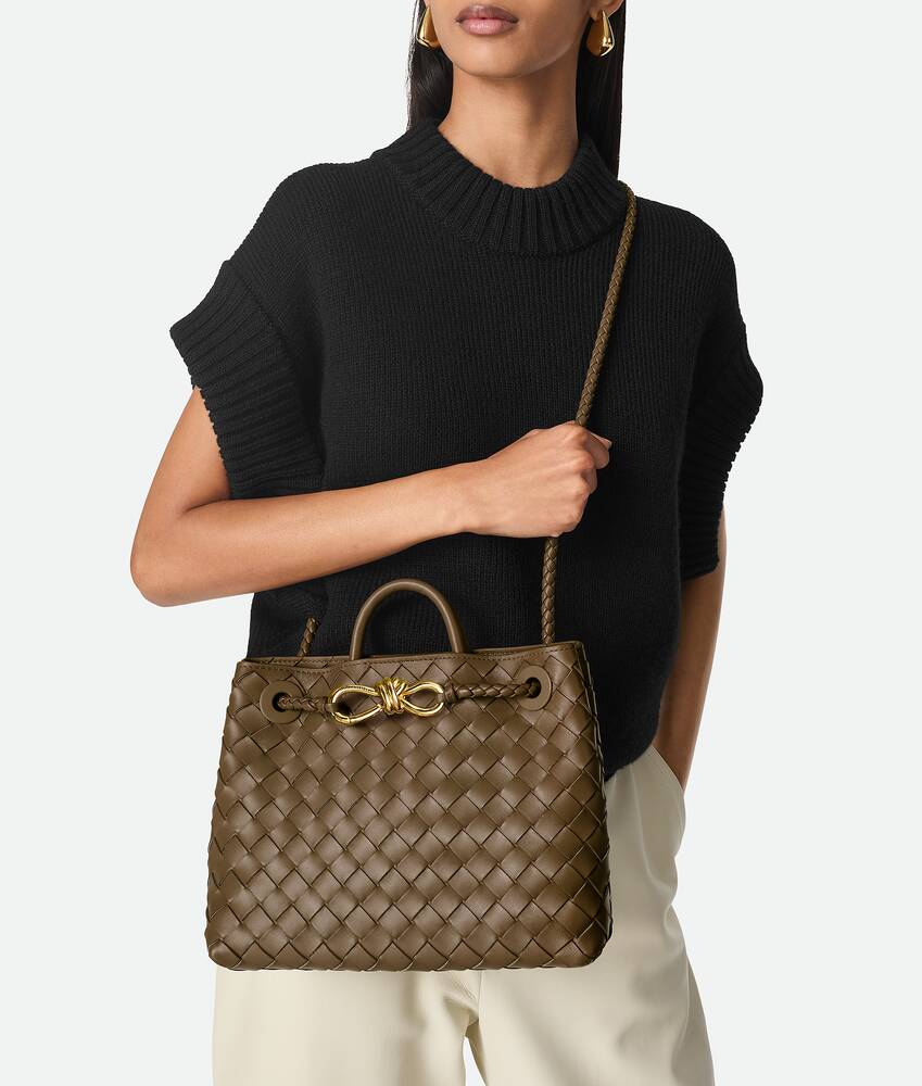 BOTTEGA VENETA 小号Andiamo手提包