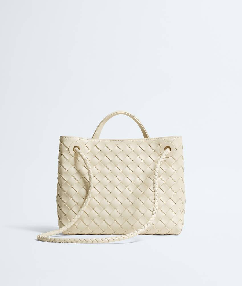 BOTTEGA VENETA 小号Andiamo手提包