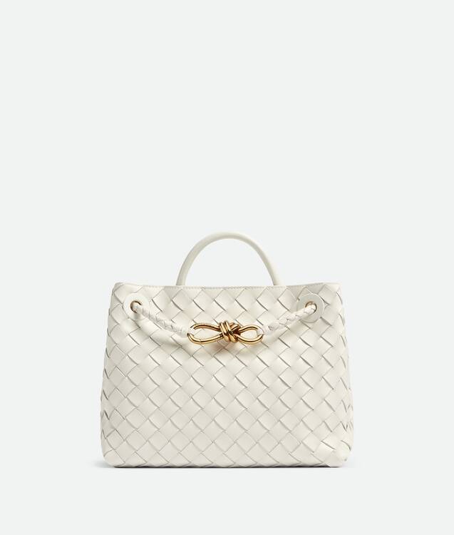 BOTTEGA VENETA Andiamo小号手提包