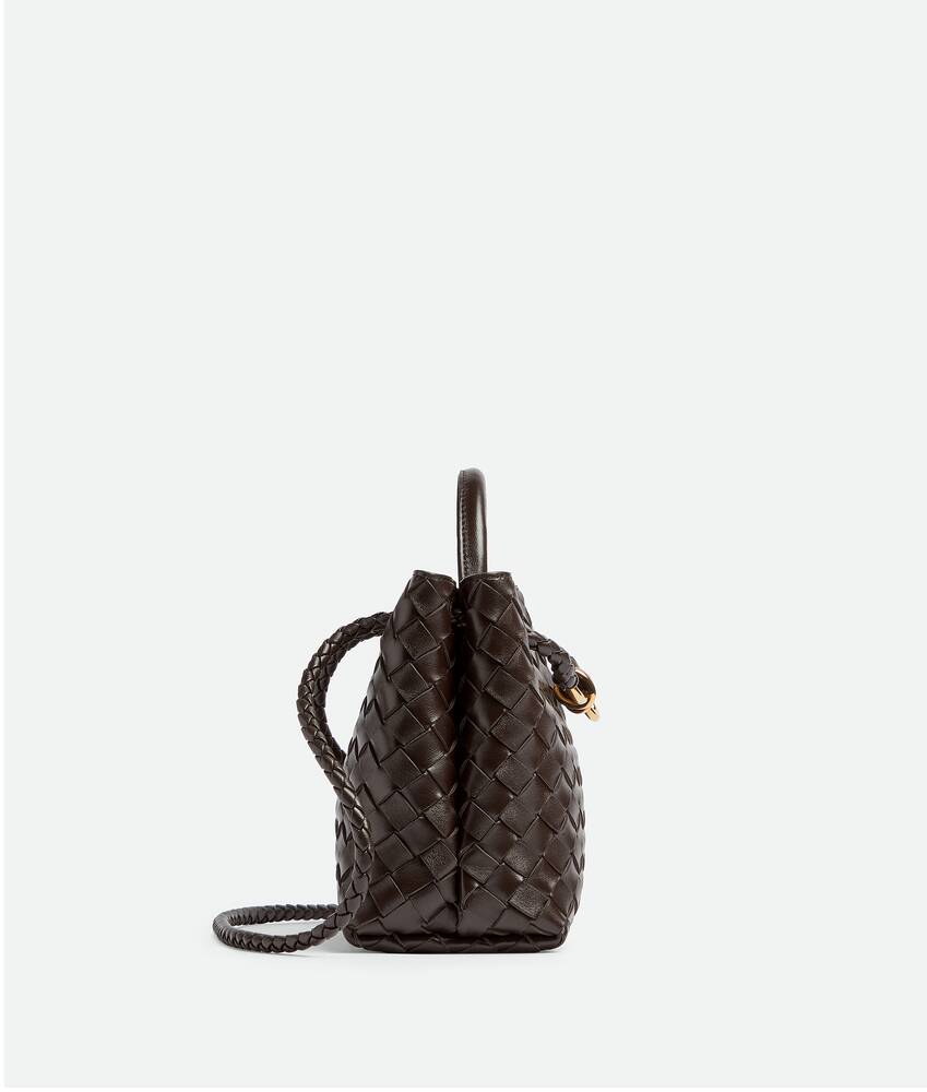 BOTTEGA VENETA 小号Andiamo手提包
