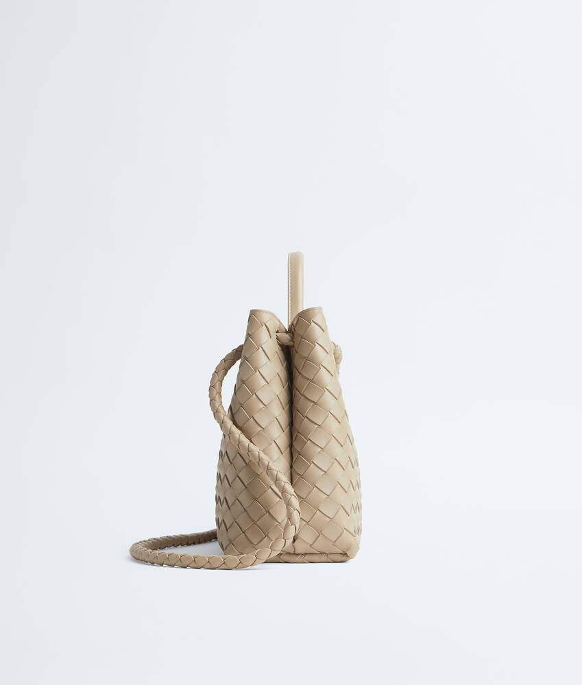 BOTTEGA VENETA Andiamo手提包