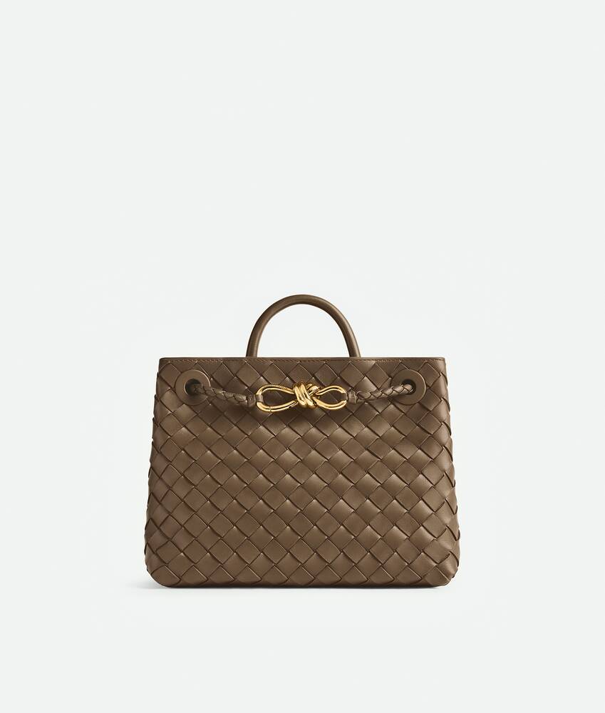 BOTTEGA VENETA 小号Andiamo手提包