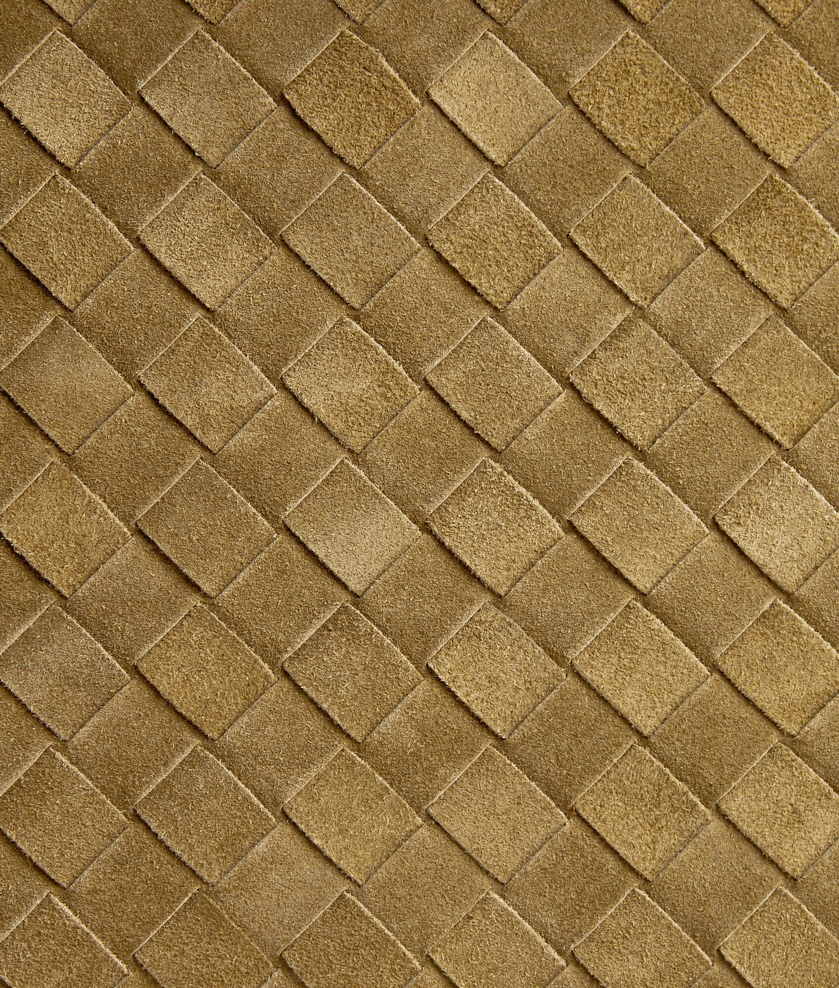 BOTTEGA VENETA Andiamo背提包