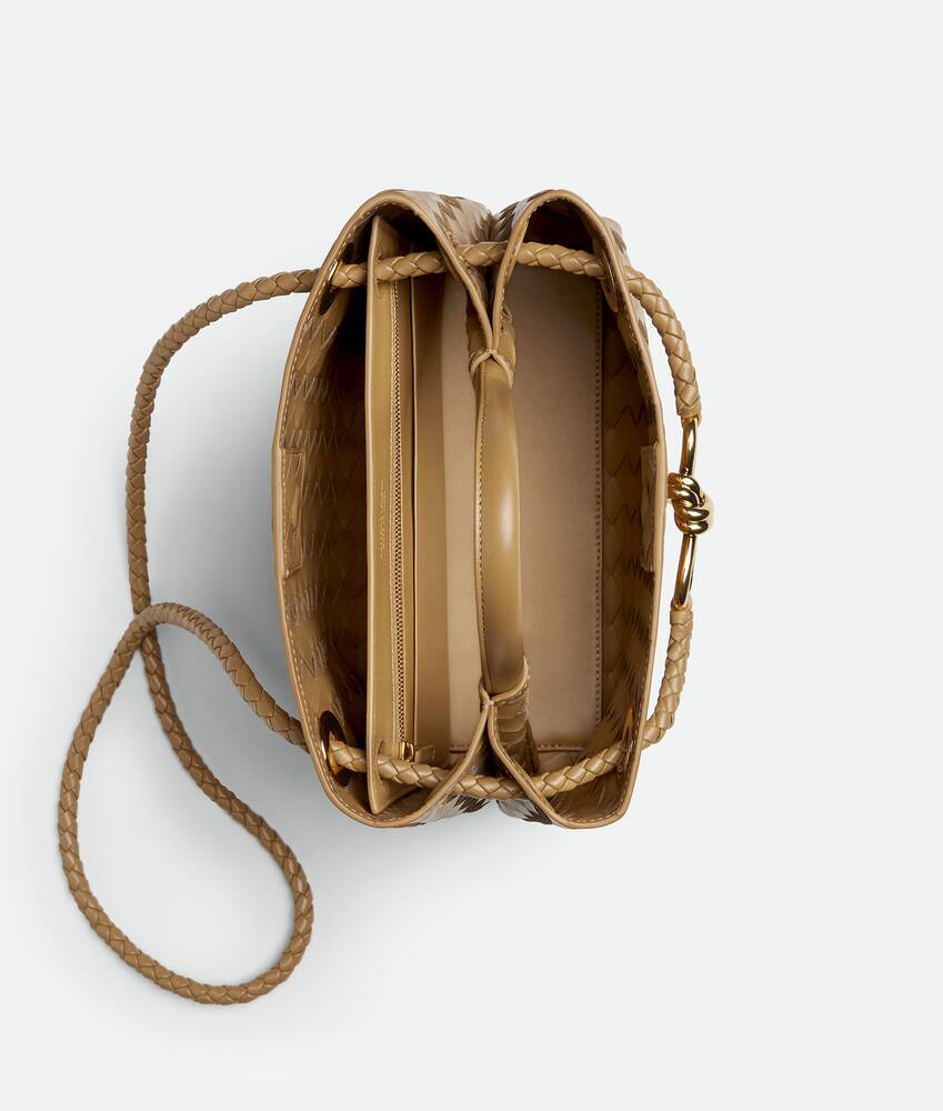BOTTEGA VENETA 小号Andiamo手提包