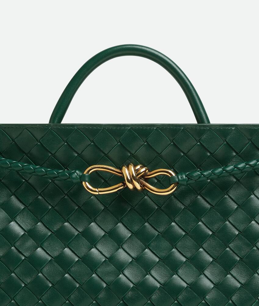 BOTTEGA VENETA 小号横款Andiamo手提包