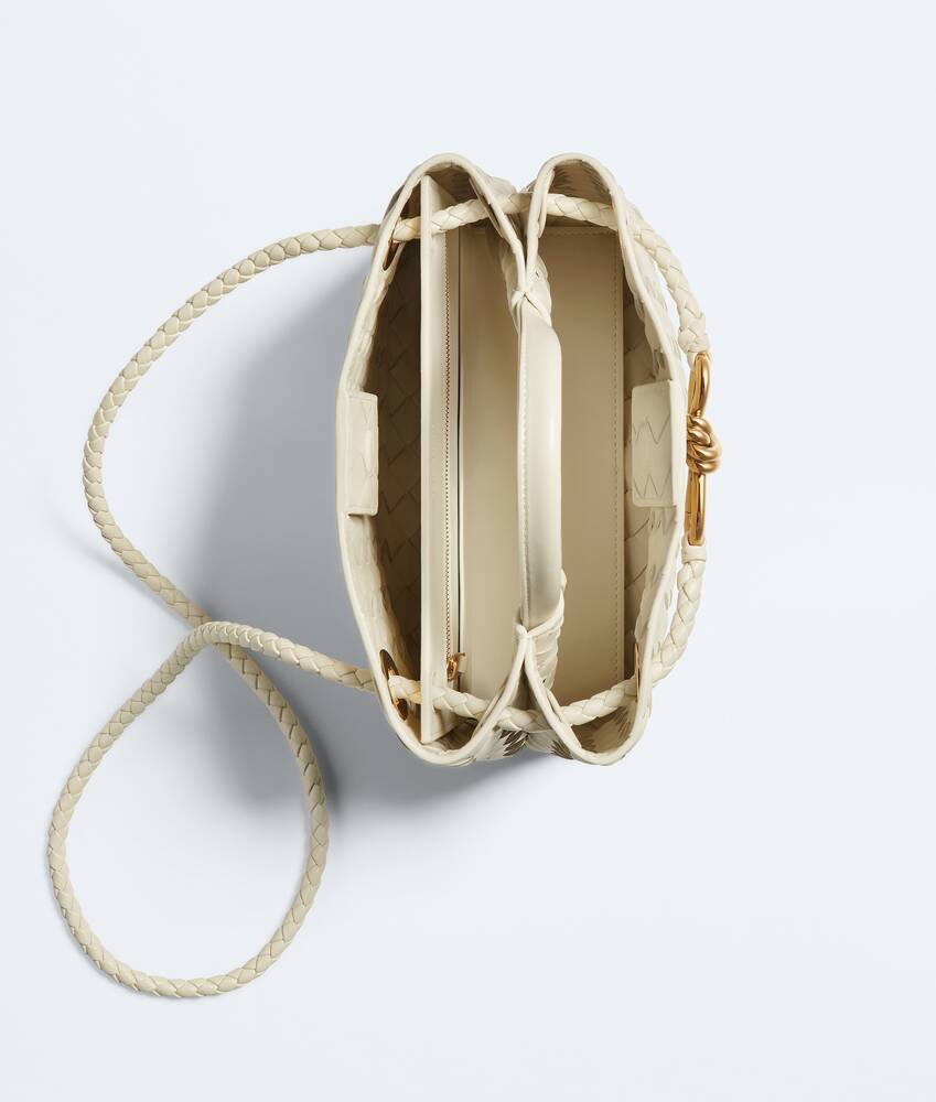 BOTTEGA VENETA 小号Andiamo手提包