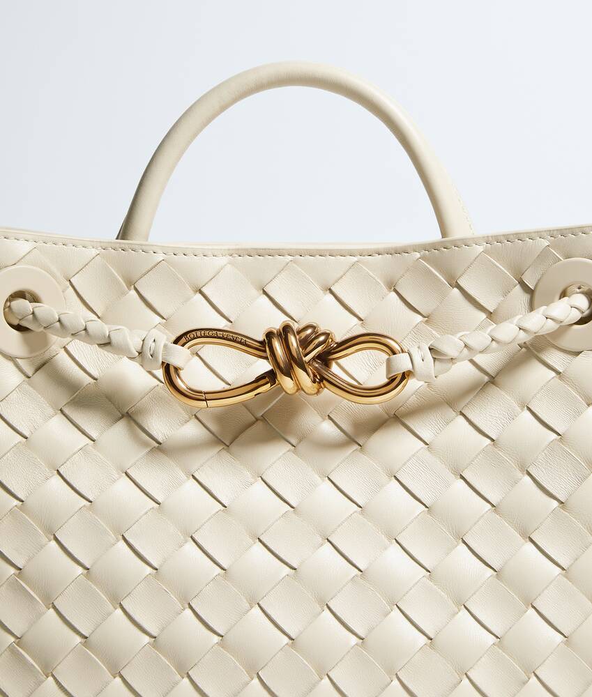 BOTTEGA VENETA 小号Andiamo手提包