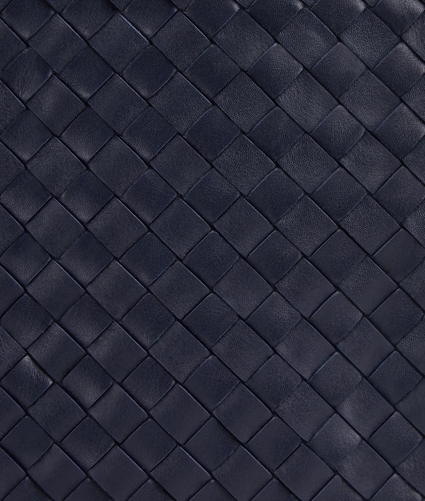 BOTTEGA VENETA Pinacoteca托特手袋