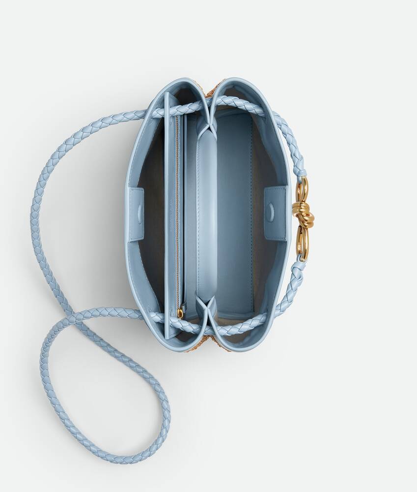 BOTTEGA VENETA 小号Andiamo手提包