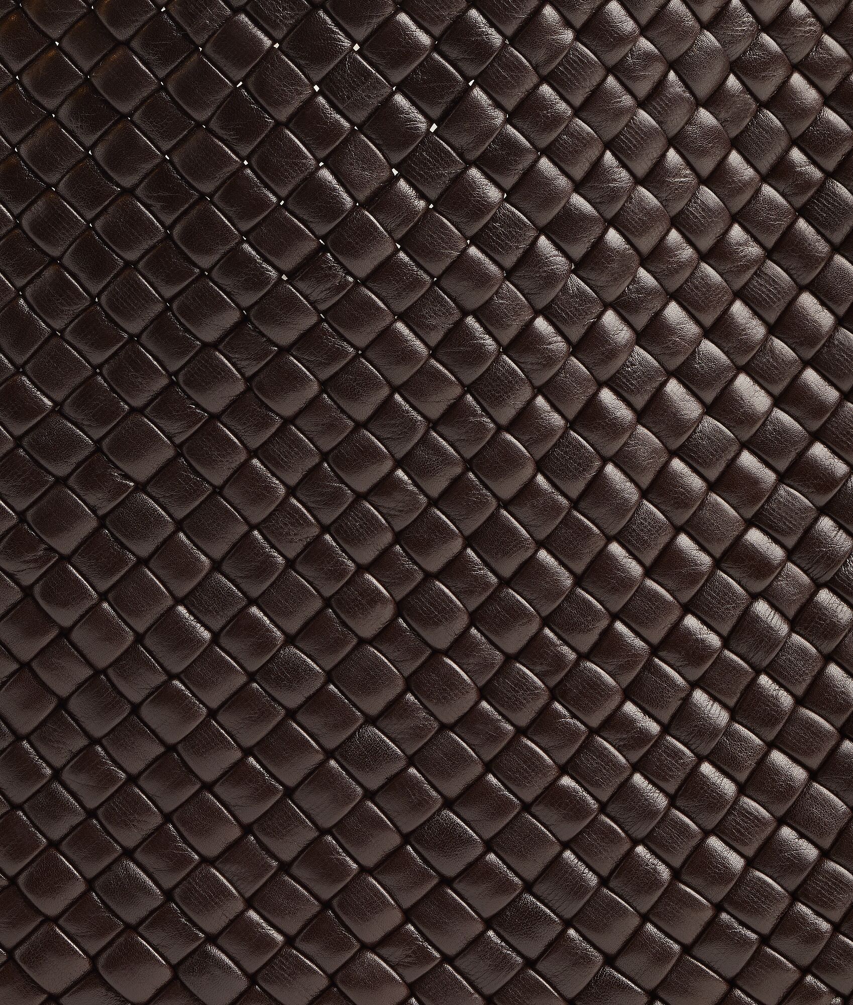 BOTTEGA VENETA Tosca肩背包