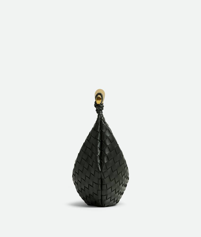 BOTTEGA VENETA Sardine手袋