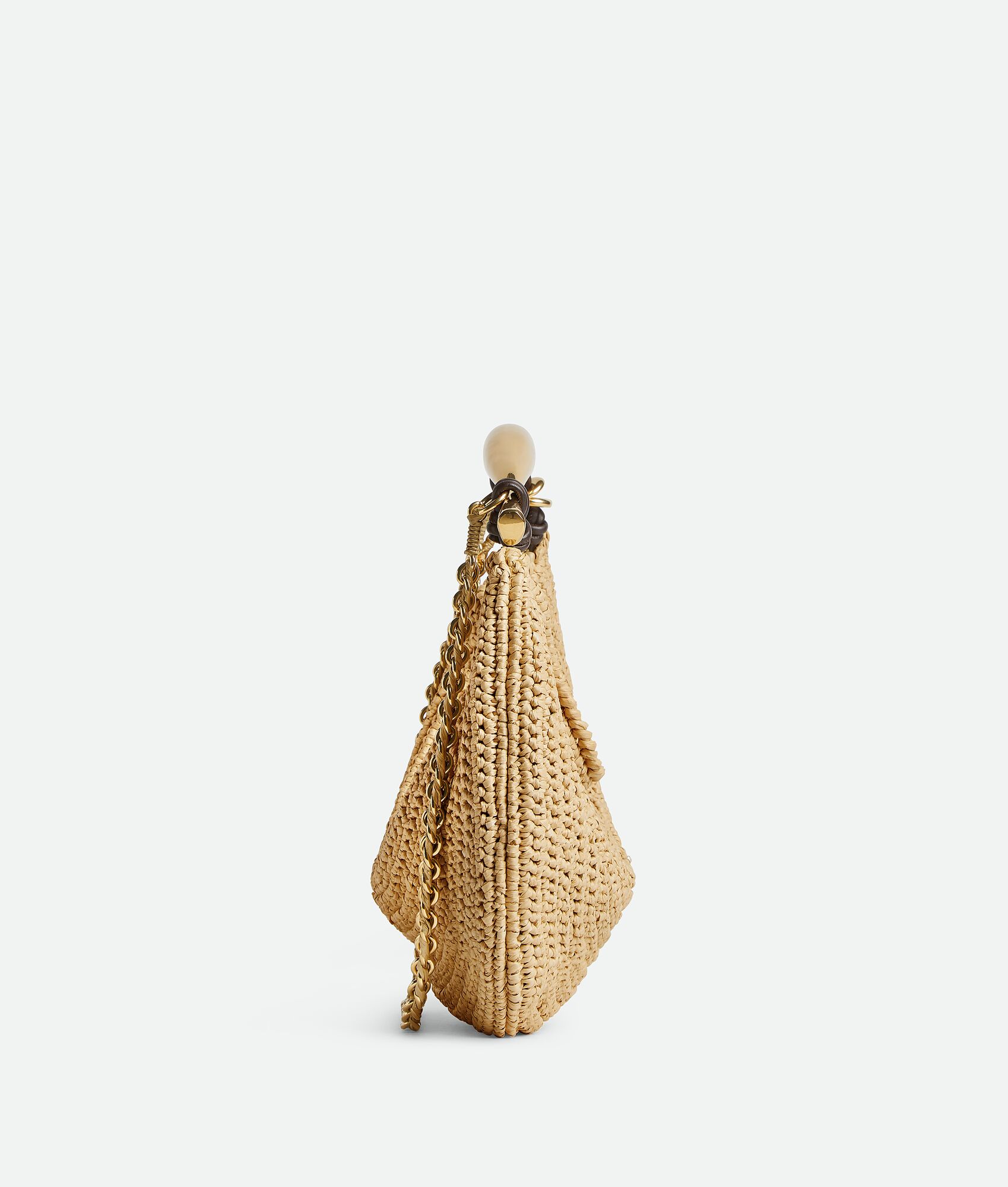 BOTTEGA VENETA Sardine链条手袋
