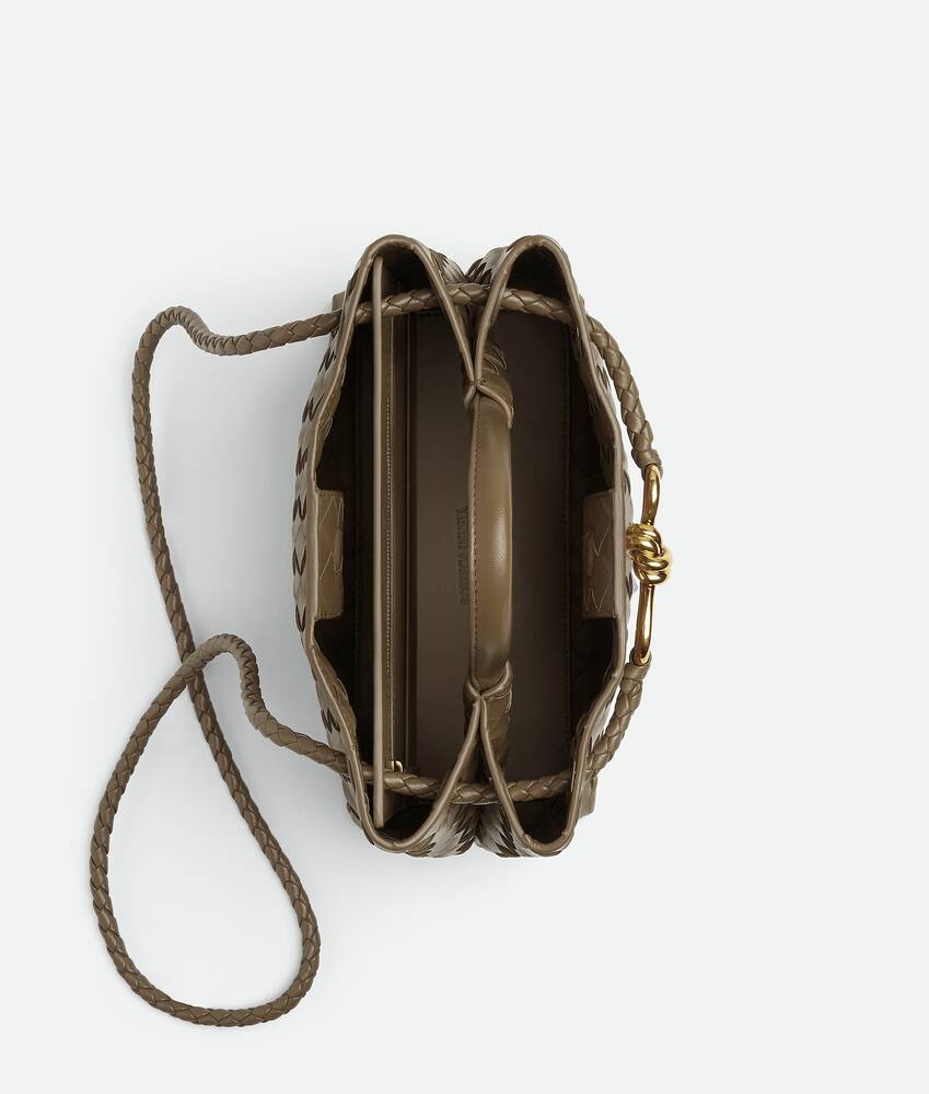 BOTTEGA VENETA 小号Andiamo手提包