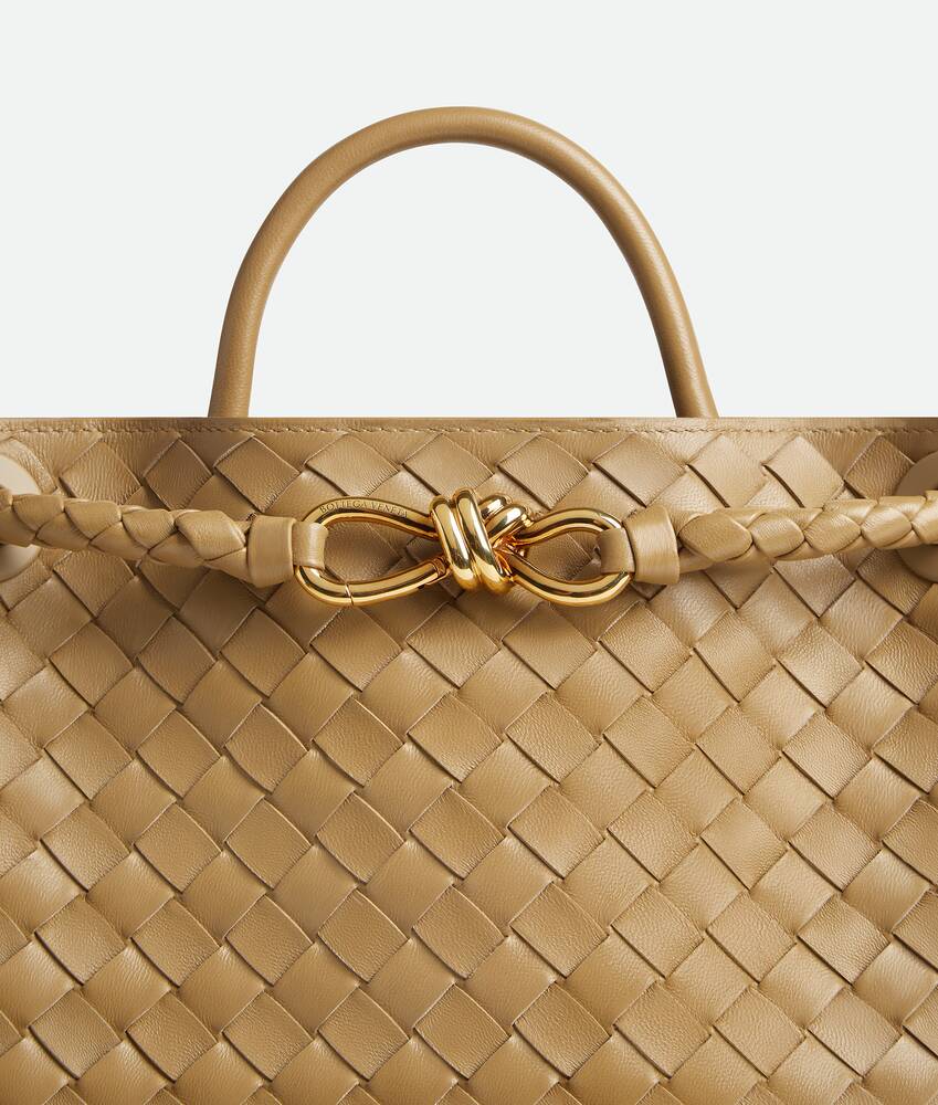 BOTTEGA VENETA Andiamo手提包
