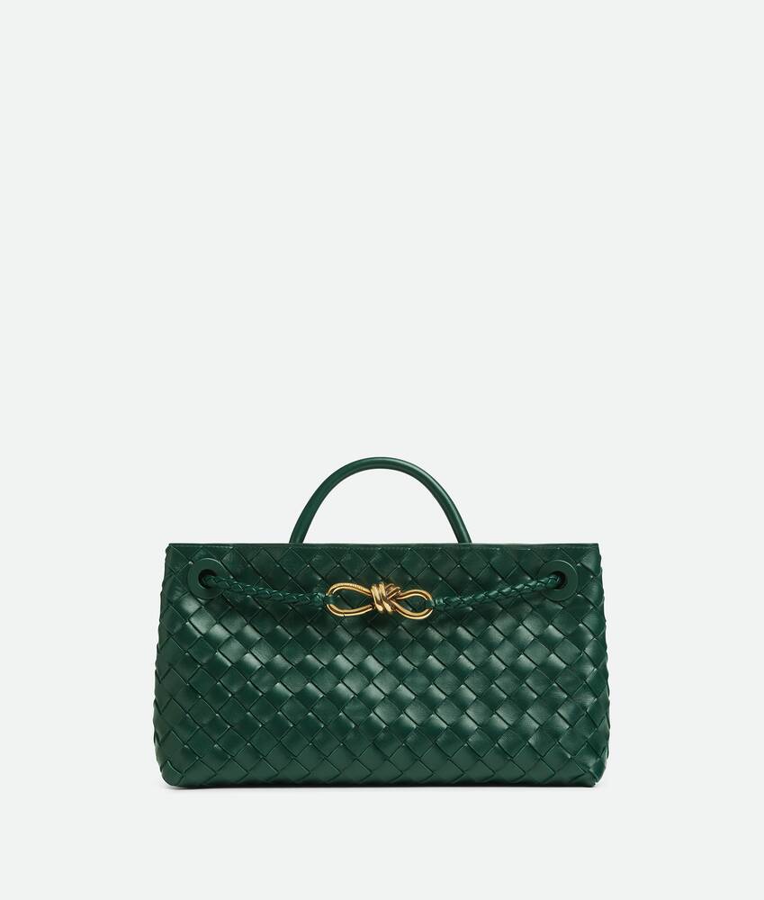 BOTTEGA VENETA 小号横款Andiamo手提包