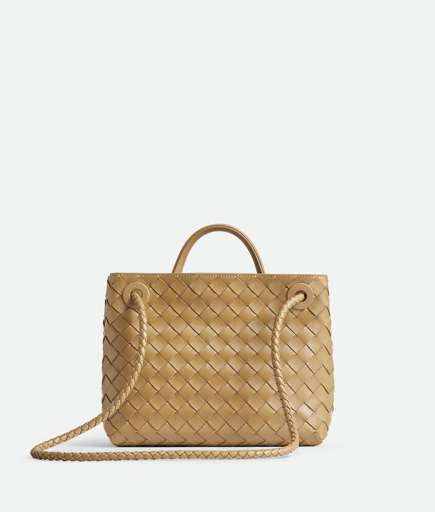 BOTTEGA VENETA 小号Andiamo手提包