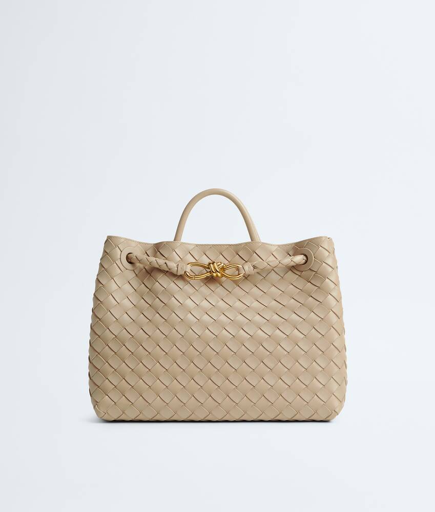 BOTTEGA VENETA Andiamo手提包