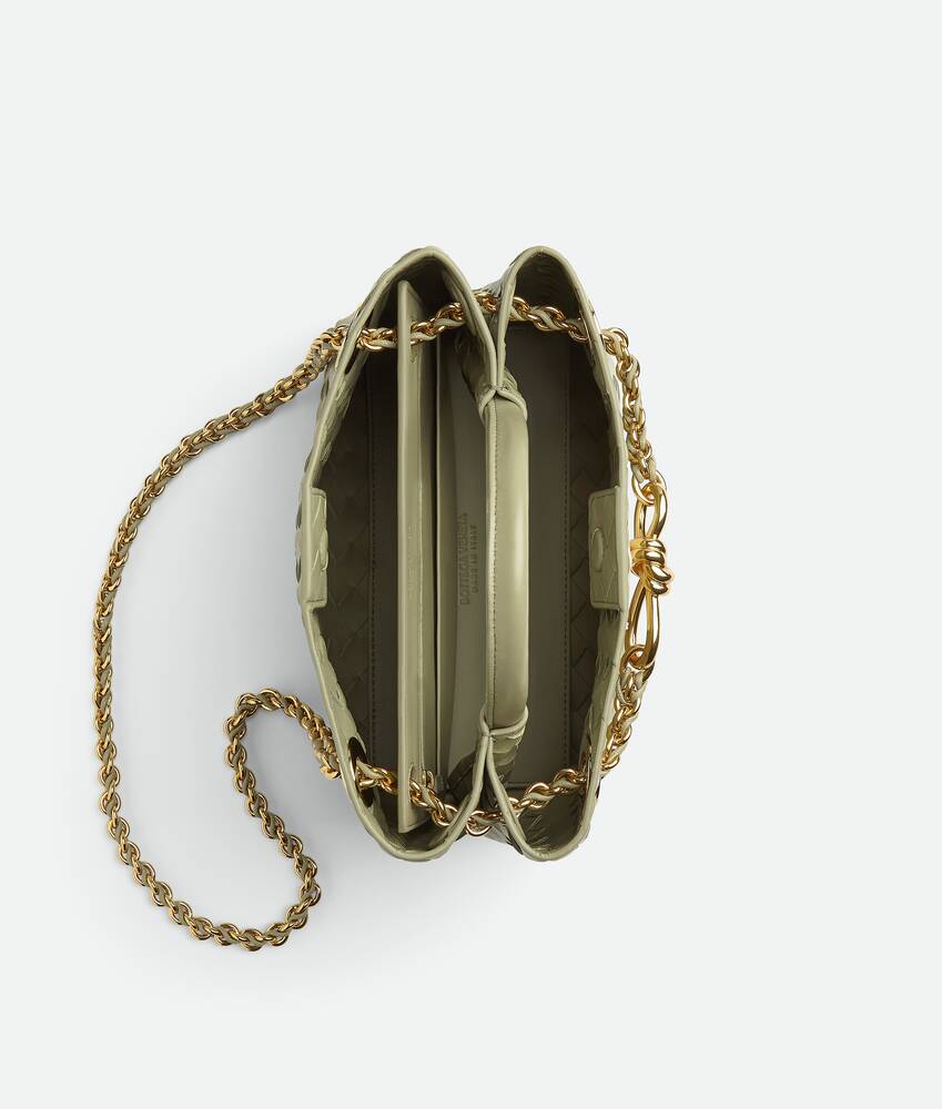 BOTTEGA VENETA Andiamo小号链条包